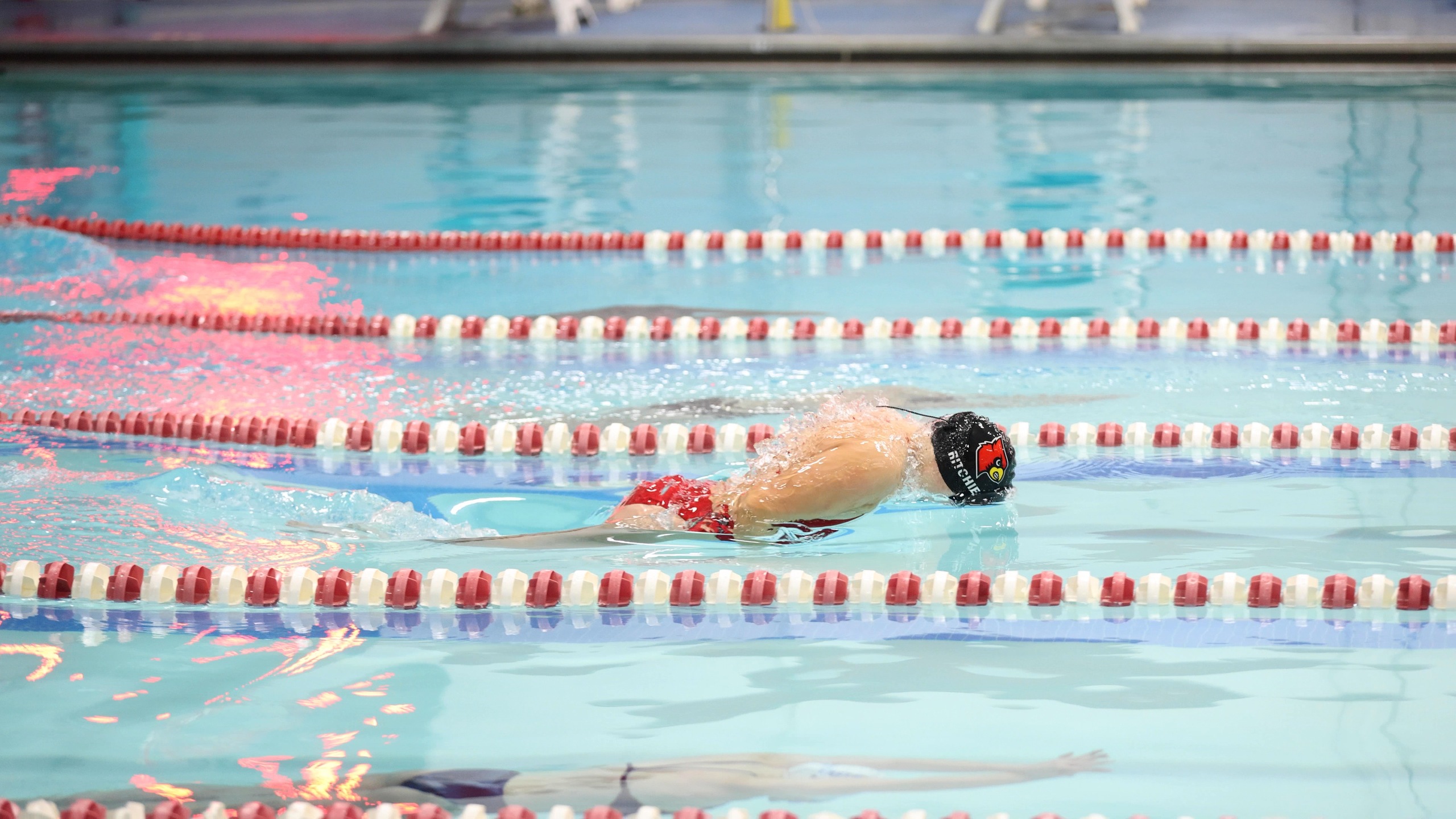 Lady Cardinals - WC Duals Swimming & Diving 120225